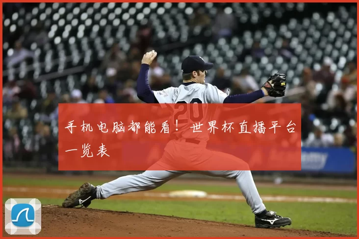 手机电脑都能看！世界杯直播平台一览表