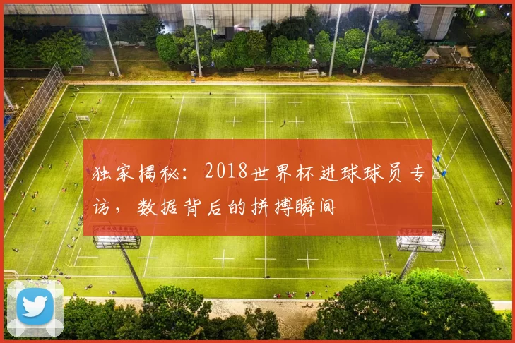 独家揭秘：2018世界杯进球球员专访，数据背后的拼搏瞬间