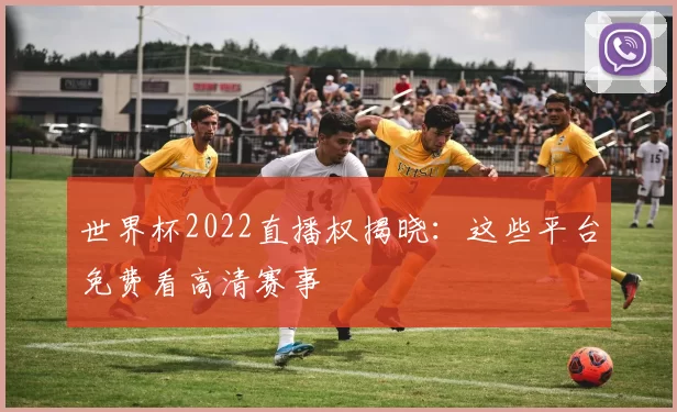 世界杯2022直播权揭晓：这些平台免费看高清赛事