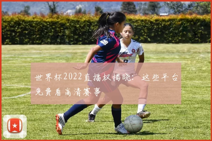 世界杯2022直播权揭晓：这些平台免费看高清赛事