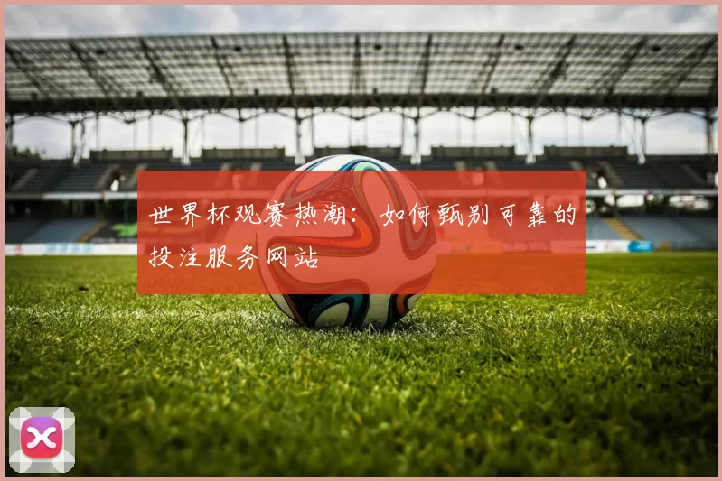 世界杯观赛热潮：如何甄别可靠的投注服务网站
