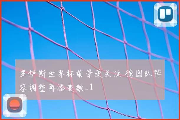 罗伊斯世界杯前景受关注 德国队阵容调整再添变数_1