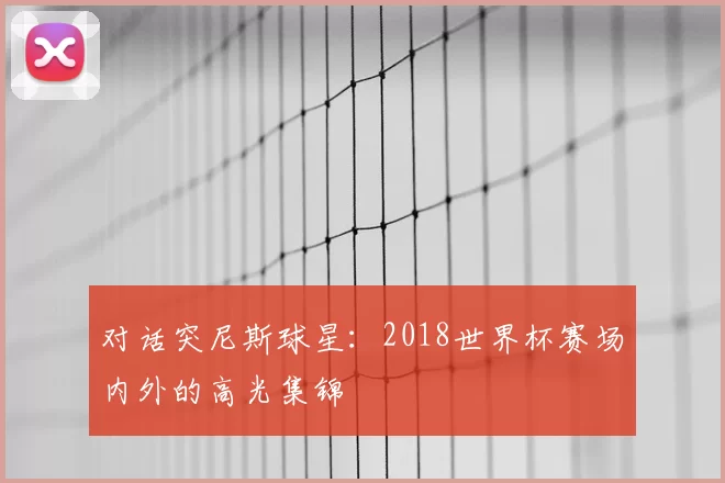 对话突尼斯球星：2018世界杯赛场内外的高光集锦