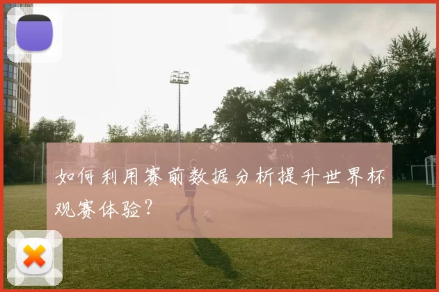 如何利用赛前数据分析提升世界杯观赛体验？