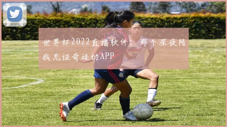 世界杯2022直播软件：那个深夜陪我见证奇迹的APP
