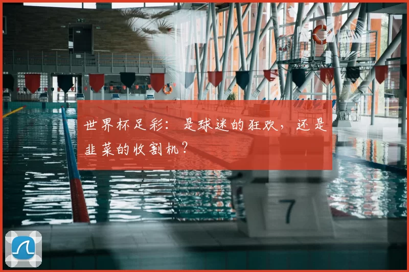 世界杯足彩：是球迷的狂欢，还是韭菜的收割机？