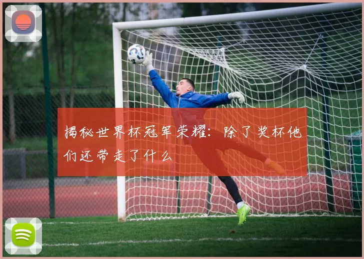 揭秘世界杯冠军荣耀:除了奖杯他们还带走了什么