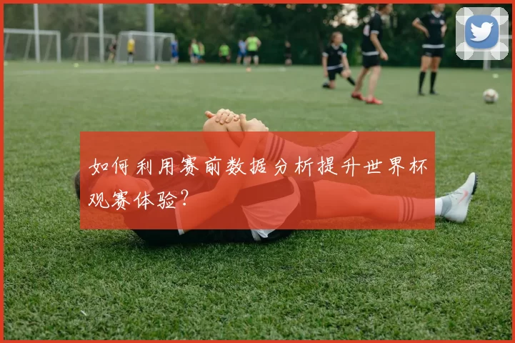 如何利用赛前数据分析提升世界杯观赛体验？