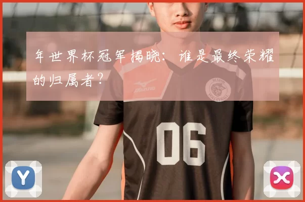 年世界杯冠军揭晓：谁是最终荣耀的归属者？