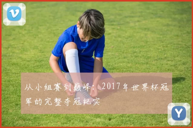 从小组赛到巅峰：2017年世界杯冠军的完整夺冠纪实