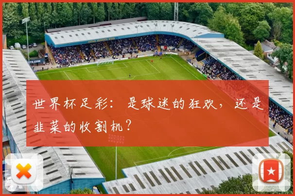 世界杯足彩：是球迷的狂欢，还是韭菜的收割机？