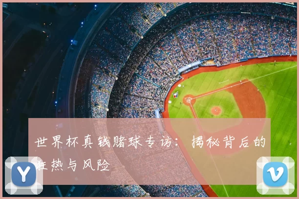 世界杯真钱赌球专访:揭秘背后的狂热与风险